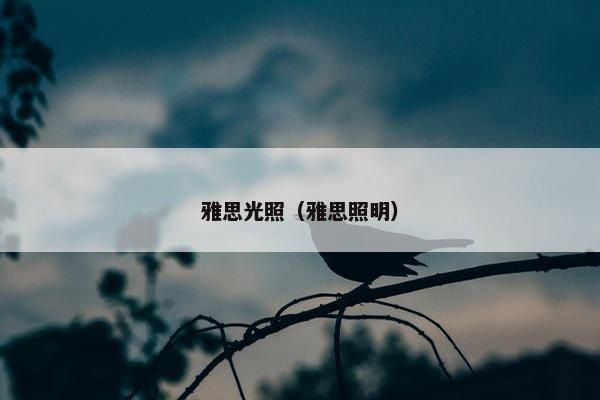 雅思光照（雅思照明）