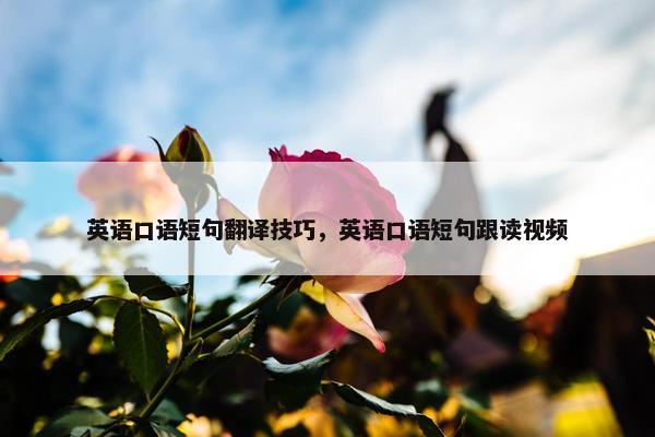 英语口语短句翻译技巧,英语口语短句跟读视频 英语口语短句翻译技巧,英语口语短句跟读视频