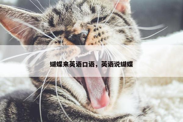 蝴蝶来英语口语，英语说蝴蝶