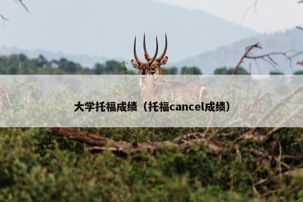 大学托福成绩(托福cancel成绩)