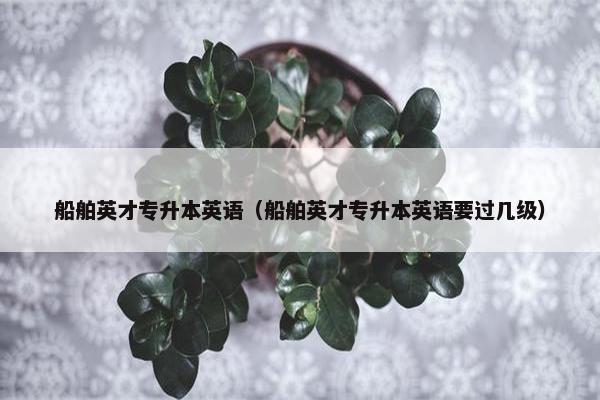 船舶英才专升本英语(船舶英才专升本英语要过几级)