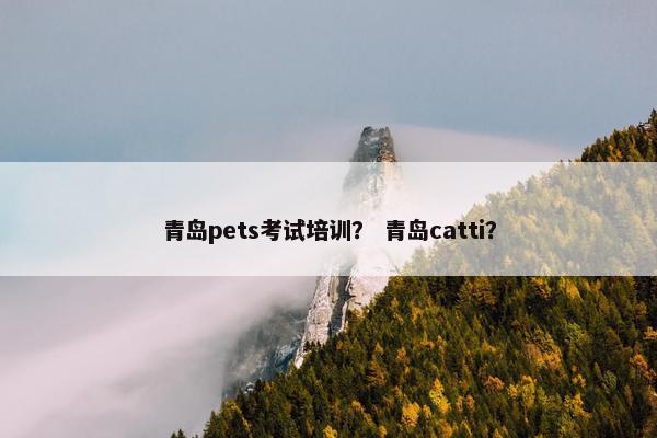 青岛pets考试培训? 青岛catti?