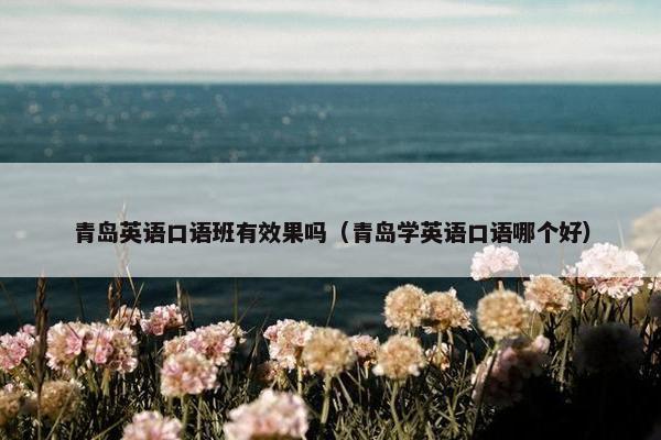 青岛英语口语班有效果吗(青岛学英语口语哪个好)