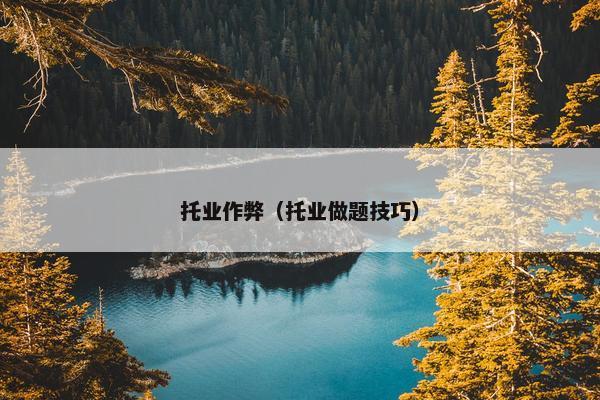 托业作弊(托业做题技巧)