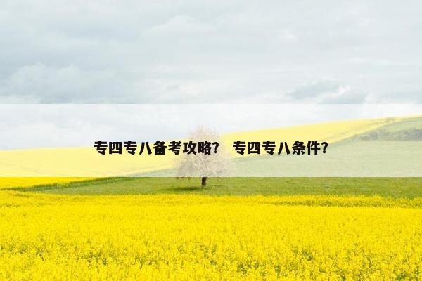 专四专八备考攻略? 专四专八条件?
