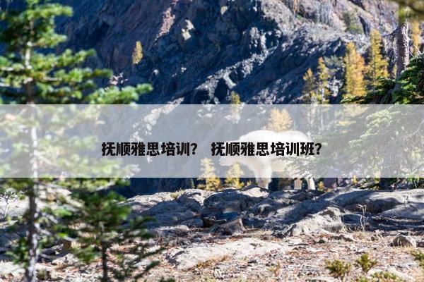 抚顺雅思培训? 抚顺雅思培训班?