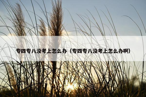 专四专八没考上怎么办(专四专八没考上怎么办啊)