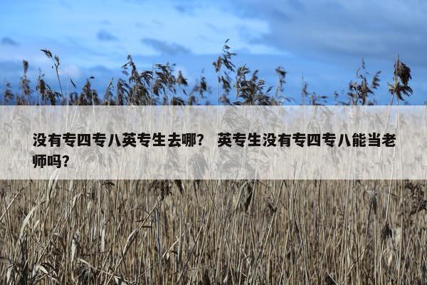 没有专四专八英专生去哪? 英专生没有专四专八能当老师吗?