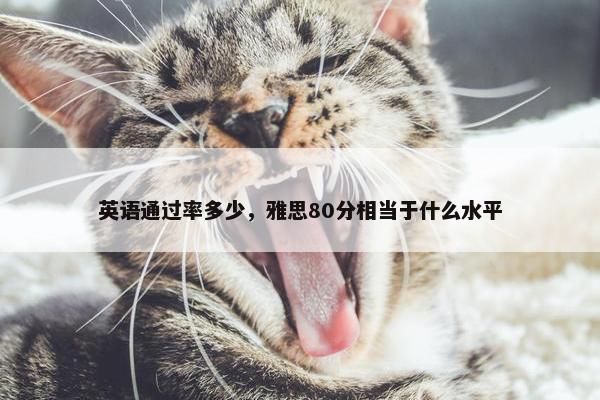 英语通过率多少,雅思80分相当于什么水平 英语通过率多少,雅思80分相当于什么水平