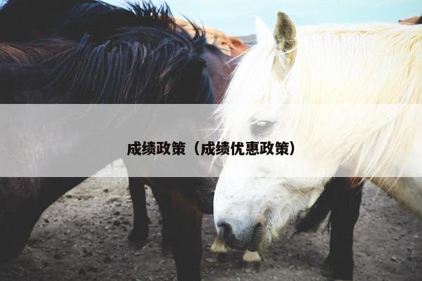 成绩政策(成绩优惠政策) 成绩政策(成绩优惠政策)
