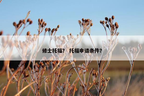 修士托福? 托福申请条件? 修士托福? 托福申请条件?