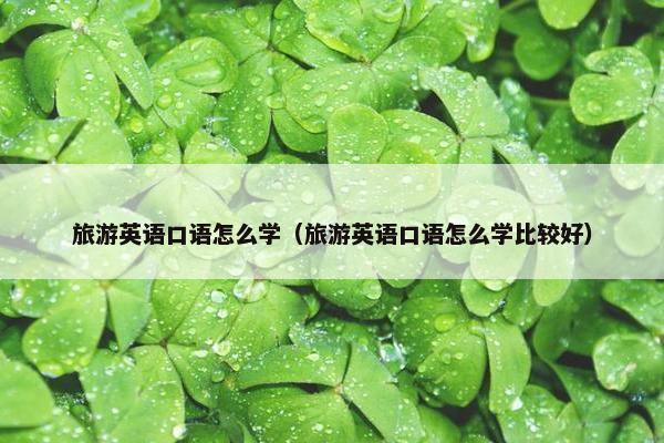 旅游英语口语怎么学(旅游英语口语怎么学比较好) 旅游英语口语怎么学(旅游英语口语怎么学比较好)