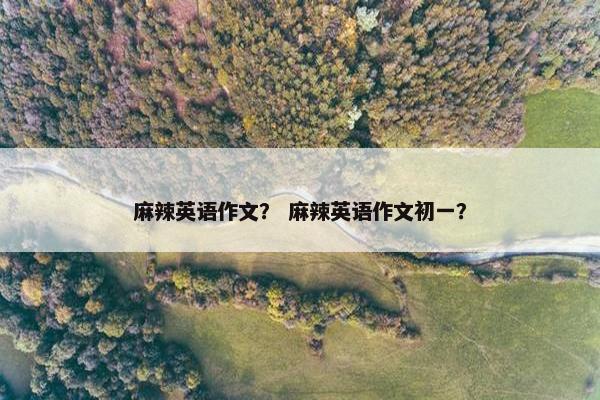 麻辣英语作文? 麻辣英语作文初一?