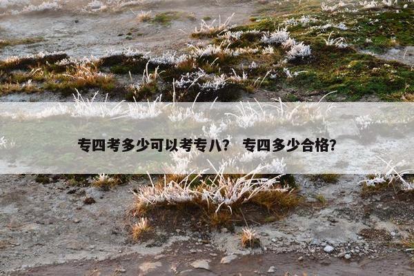 专四考多少可以考专八? 专四多少合格?