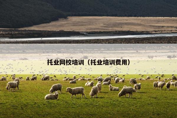 托业网校培训(托业培训费用) 托业网校培训(托业培训费用)