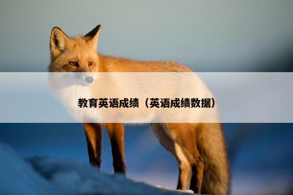 教育英语成绩(英语成绩数据)