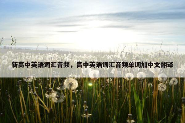 新高中英语词汇音频,高中英语词汇音频单词加中文翻译
