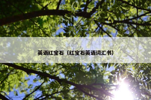 英语红宝石(红宝石英语词汇书) 英语红宝石(红宝石英语词汇书)