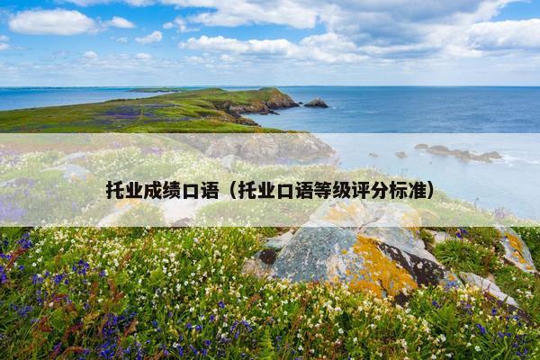 托业成绩口语(托业口语等级评分标准)