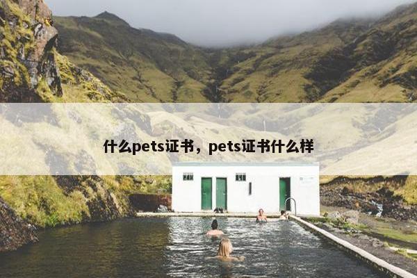 什么pets证书,pets证书什么样