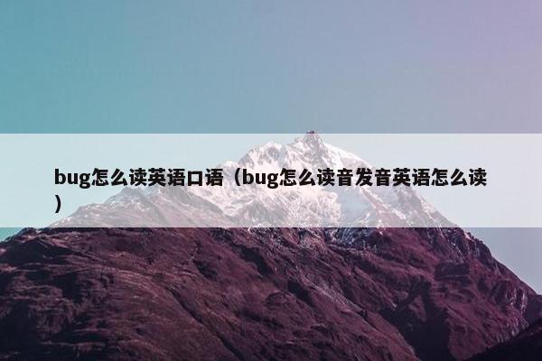 bug怎么读英语口语（bug怎么读音发音英语怎么读）