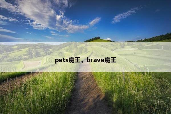 pets魔王,brave魔王