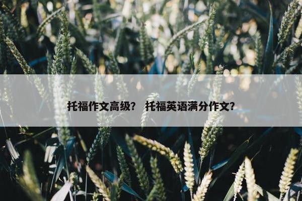 托福作文高级？ 托福英语满分作文？