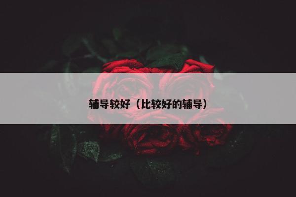 辅导较好(比较好的辅导) 辅导较好(比较好的辅导)