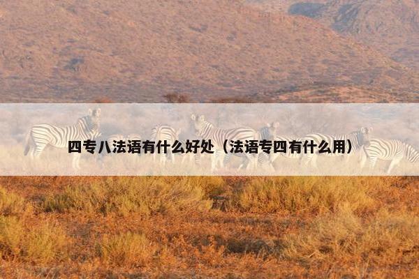 四专八法语有什么好处（法语专四有什么用）
