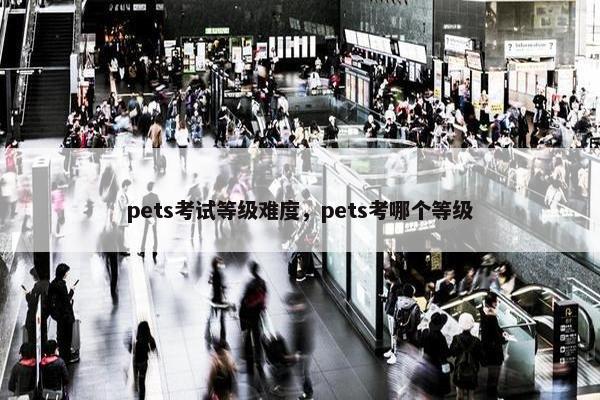 pets考试等级难度，pets考哪个等级