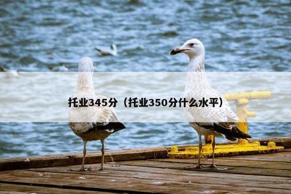 托业345分(托业350分什么水平) 托业345分(托业350分什么水平)