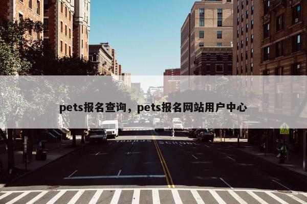 pets报名查询，pets报名网站用户中心