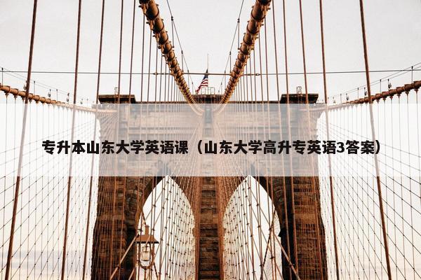 专升本山东大学英语课（山东大学高升专英语3答案）