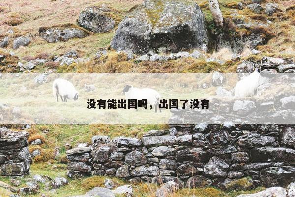 没有能出国吗，出国了没有
