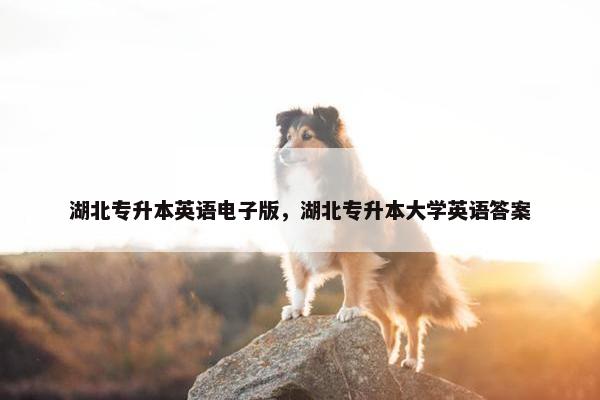 湖北专升本英语电子版，湖北专升本大学英语答案