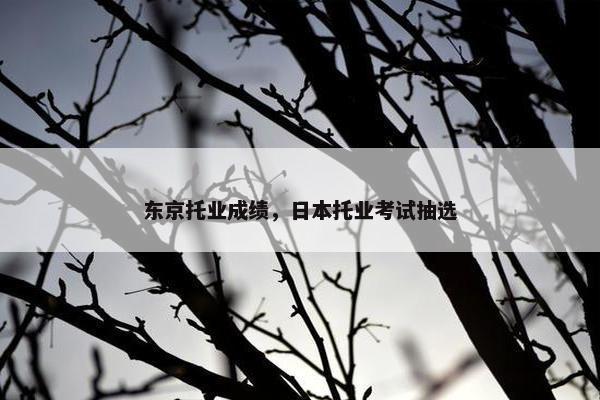 东京托业成绩,日本托业考试抽选