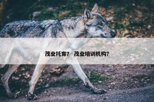 茂业托育? 茂业培训机构?