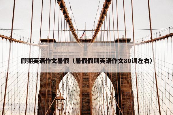 假期英语作文暑假(暑假假期英语作文80词左右)