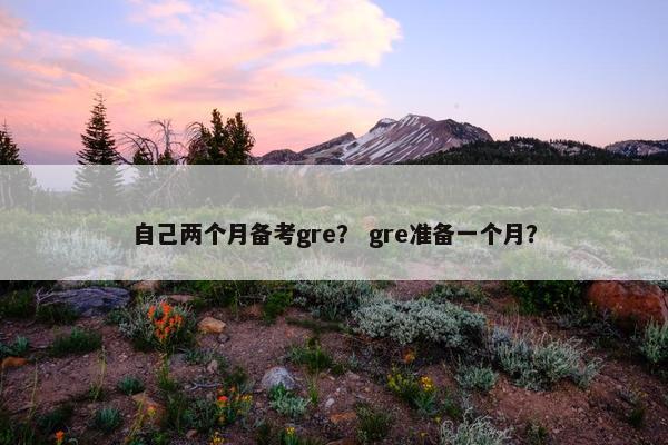 自己两个月备考gre? gre准备一个月?