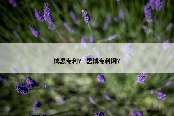 博思专利？ 思博专利网？