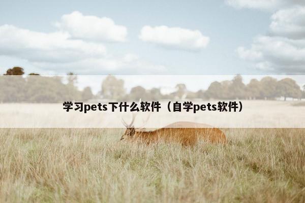 学习pets下什么软件（自学pets软件）