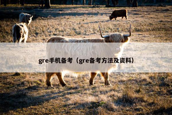 gre手机备考（gre备考方法及资料）