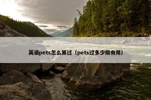 英语pets怎么算过（pets过多少级有用）