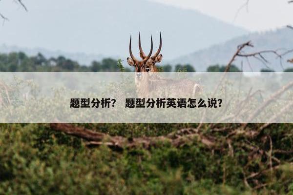 题型分析？ 题型分析英语怎么说？