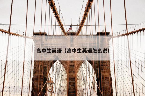 高中生英语（高中生英语怎么说）