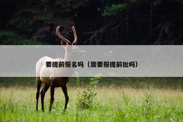 要提前报名吗（需要报提前批吗）