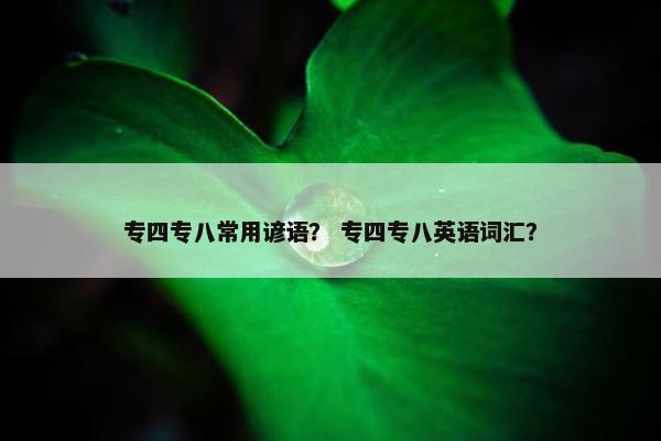 专四专八常用谚语？ 专四专八英语词汇？