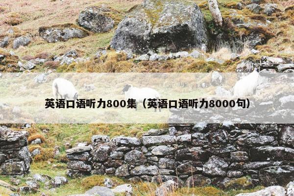 英语口语听力800集（英语口语听力8000句）