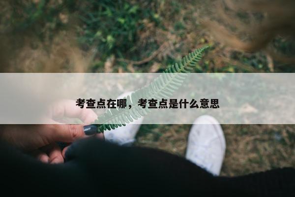 考查点在哪，考查点是什么意思