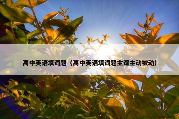 高中英语填词题（高中英语填词题主谓主动被动）